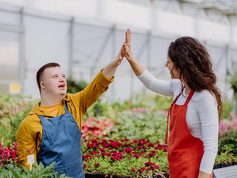 A male employee in a yellow shirt and blue overalls, and a female supervisor in a white shirt and red overalls, give each other a high-five while working in a greenhouse. Colourful flowering plants surround them.